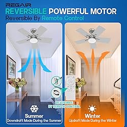 Regair Ceiling Fan 32 Inch, Remote Control DC