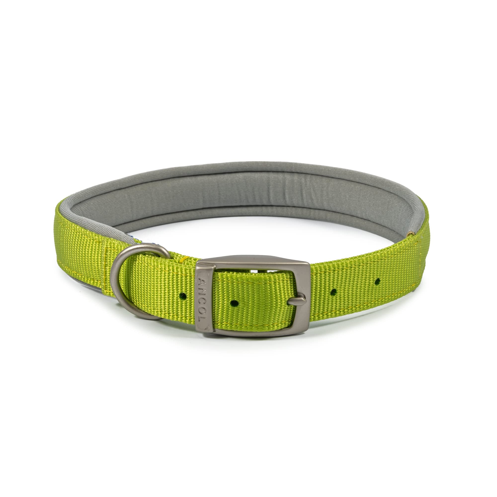 Ancol Padded Viva Dog Collar with Buckle - Lime Durable Walking Accessory for Dogs Puppies - Size 6 Fits 45-54 cm Neck — image 1
