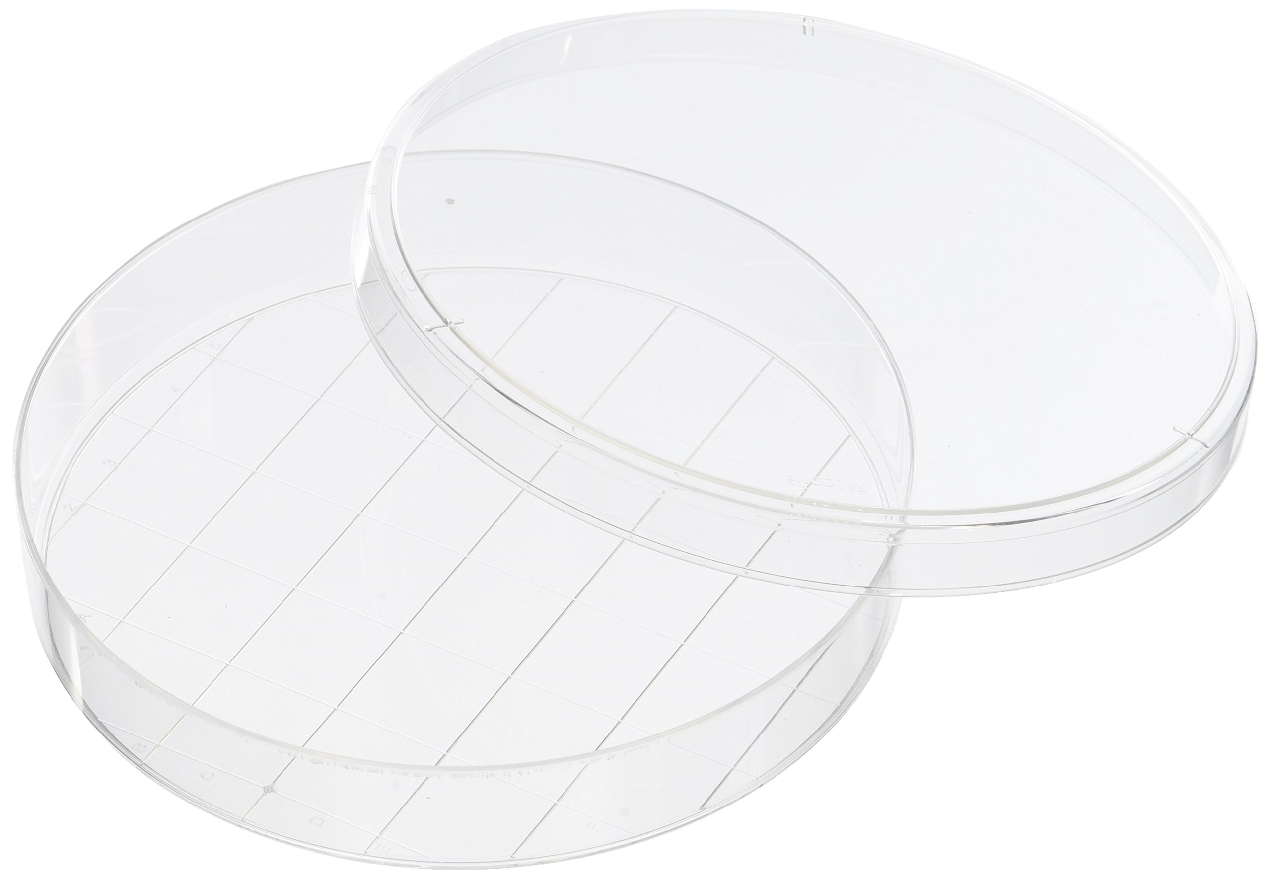 Corning Falcon 353025 TC Treated Cell Culture Dish 150 mm with 20 mm Grid, Sterile (Pack of 100)