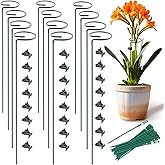 Plant Stake Support - 12 Pack, Garden Single Stem Support Stake Plant Cage Support Rings, Plant Support Stakes for Indoor Plants,for Flowers Phalaenopsis Rose (15.74 inch)