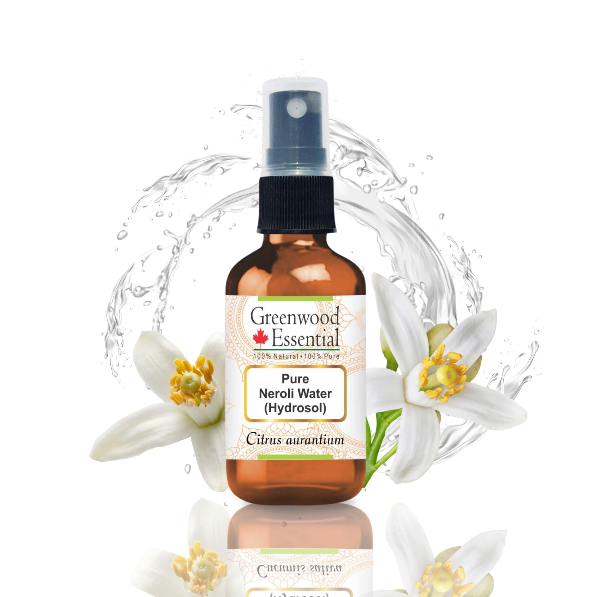 Greenwood Essential Pure Neroli Floral Water (Hydrosol) (Citrus aurantium) 100% Natural Therapeutic Grade 50ml (1.69 oz)