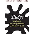 Sludge: What Stops Us from Getting Things Done and What to Do about It