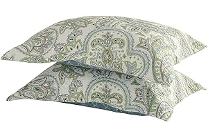 vctops 2-Piece Paisley Printed Cotton Quilted Pillow Shams Vintage Decorative Pillow Covers Boho Pillow Cases Queen Size, Green Print