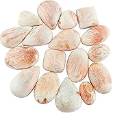 Natural Gemstones Wholesale Cabochons Lot, Jewelry Making, Polished Gems, DIY, Wire Wrapping, Reiki, Wikka, Healing, Bulk Gemstone Deal, 50 Carat Lot