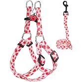 BEAUTYZOO Dog Harness Small Sized Dog Girl, No Pull Dog Harness and Leash Set,Step in Soft Light Puppy Vest, No Choke Heavy Duty Dog Halter with Bell,Breathable Adjustable Nylon Pet Harnesses, Pink S