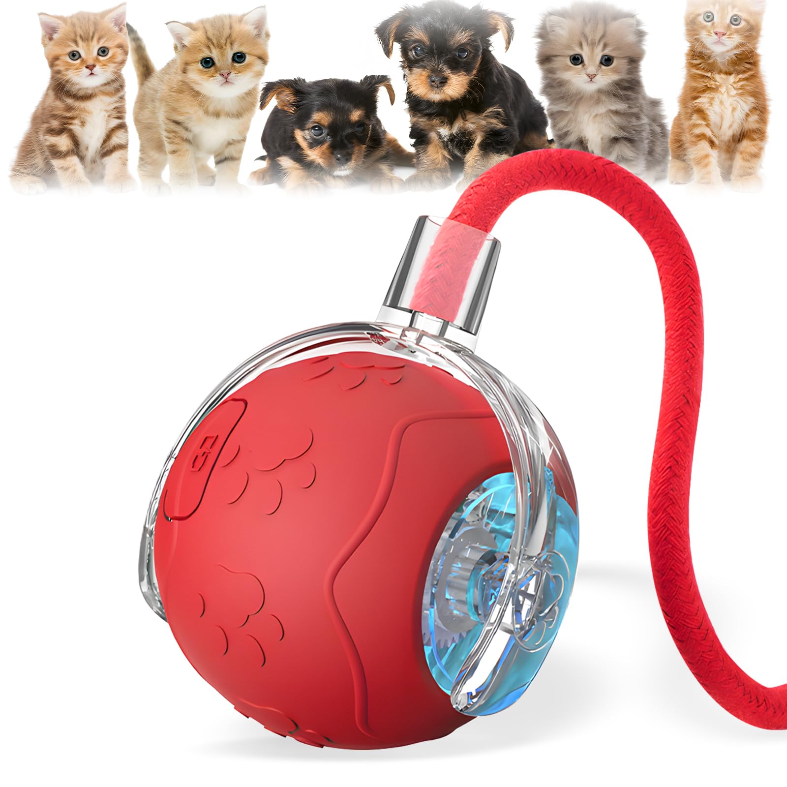 Photo 1 of Alxuses 360 Smart Automatic Rolling Pet Ball,Interactive Cat Toys Balls,Automatic Moving Cat Balls,Interactive Cat Toys for Bored Indoor Cats (Red)