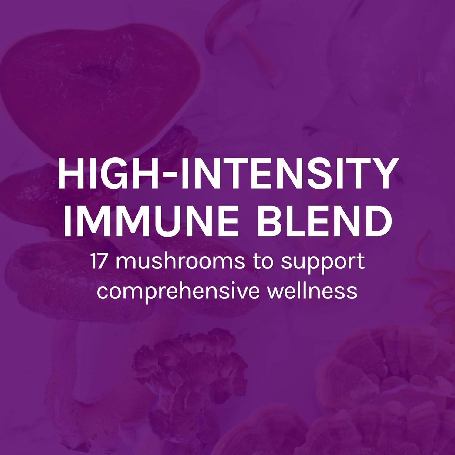 Host Defense, MyCommunity Capsules, Advanced Immune Support, Mushroom Supplement with Lion’s Mane, Reishi, Vegan, Organic, 30 Capsules (15 Servings): Health & Personal Care