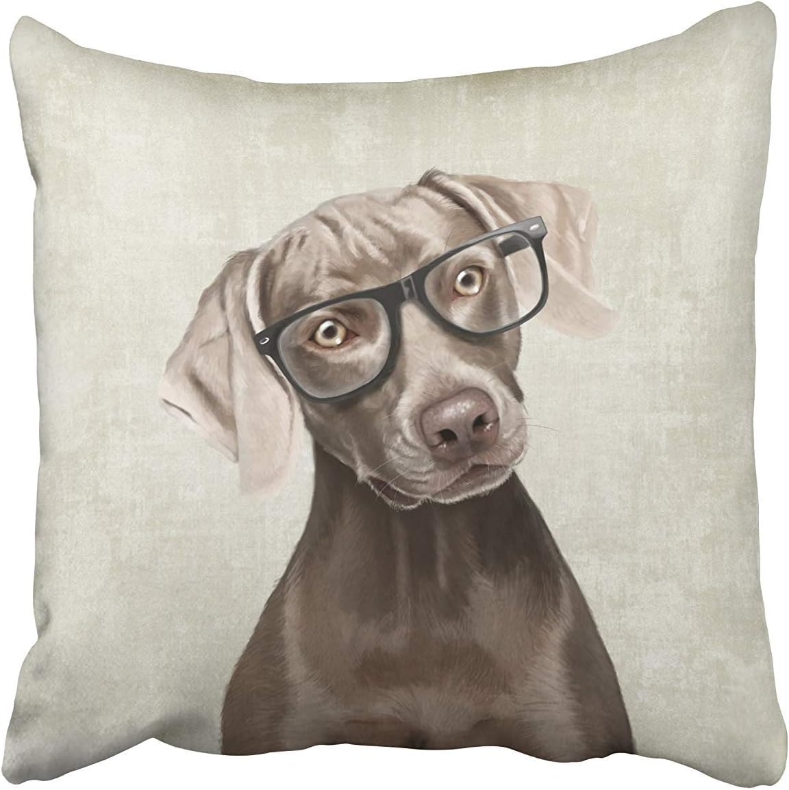 FJPT Throw Pillow Cover Weimaraner Cute Dogs Galsses Cotton Pillowslip for Sofa Bed Stand Size Pillowcase 22x22 Inch