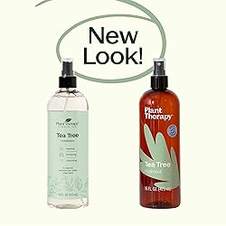 Plant Therapy Tea Tree (Melaleuca) Hydrosol 16 oz