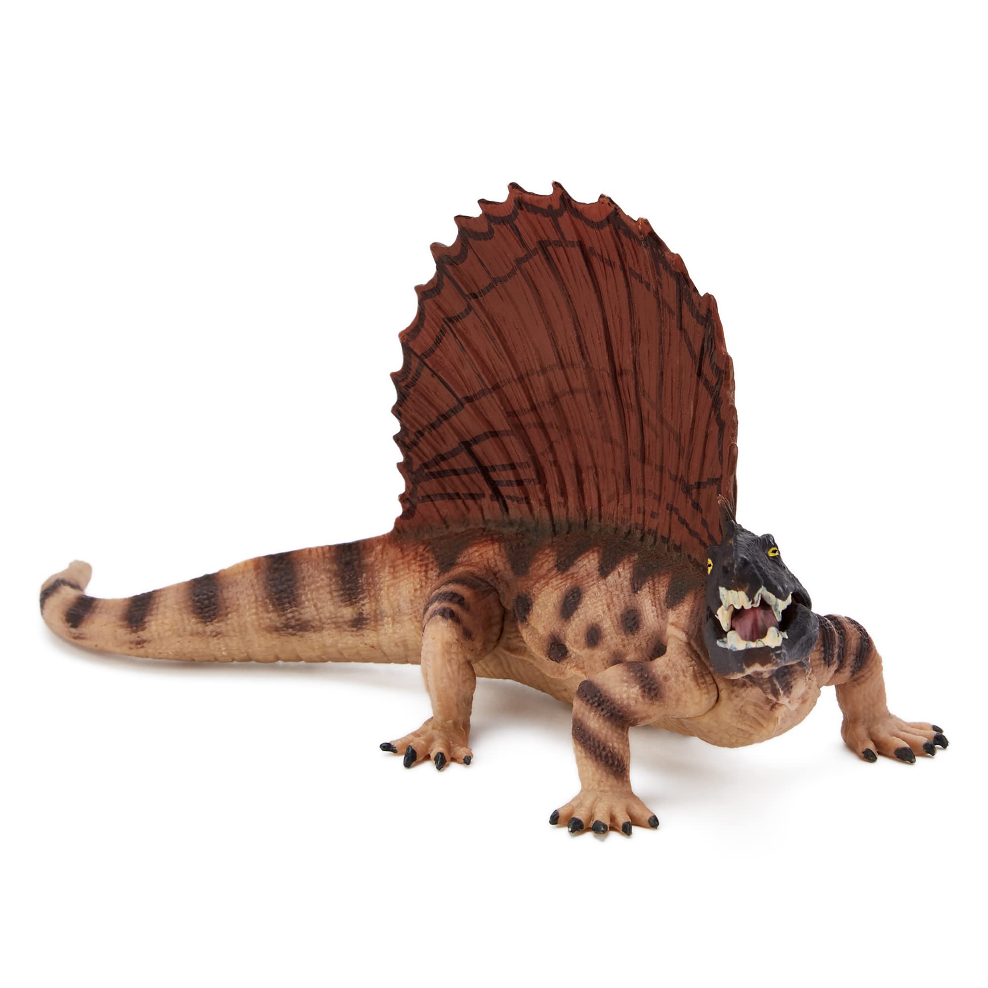 Zappi Co Childrens Dimetrodon Dinosaur Figure Toy (15cm Length) Realistic Detailed Dino Collection for Kids - Action Figures for Playtime Fun & Learning