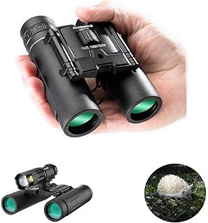 simmons binoculars 10x25