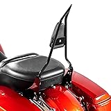 Mofun 27" Tall Sissy Bar Detachable Passenger