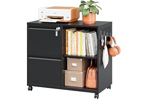 LISSIMO Mobile Lateral File Cabinet,2 Drawer Filing Cabinet with Lock fits A4/F4 or Letter Size for Home Office,Metal Rolling Printer Stand with Open Storage Adjustable Shelves(Black)
