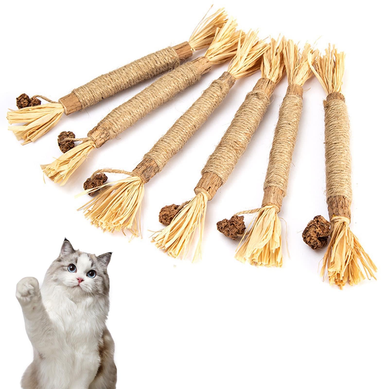 YHT 6Pcs Natural Matatabi Silvervine Chew Sticks for Indoor Cat Teeth Cleaning, Stress Release Toy for Kitten Teething