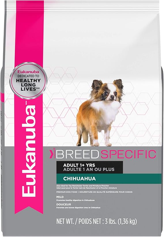 elderly dog sanctuary