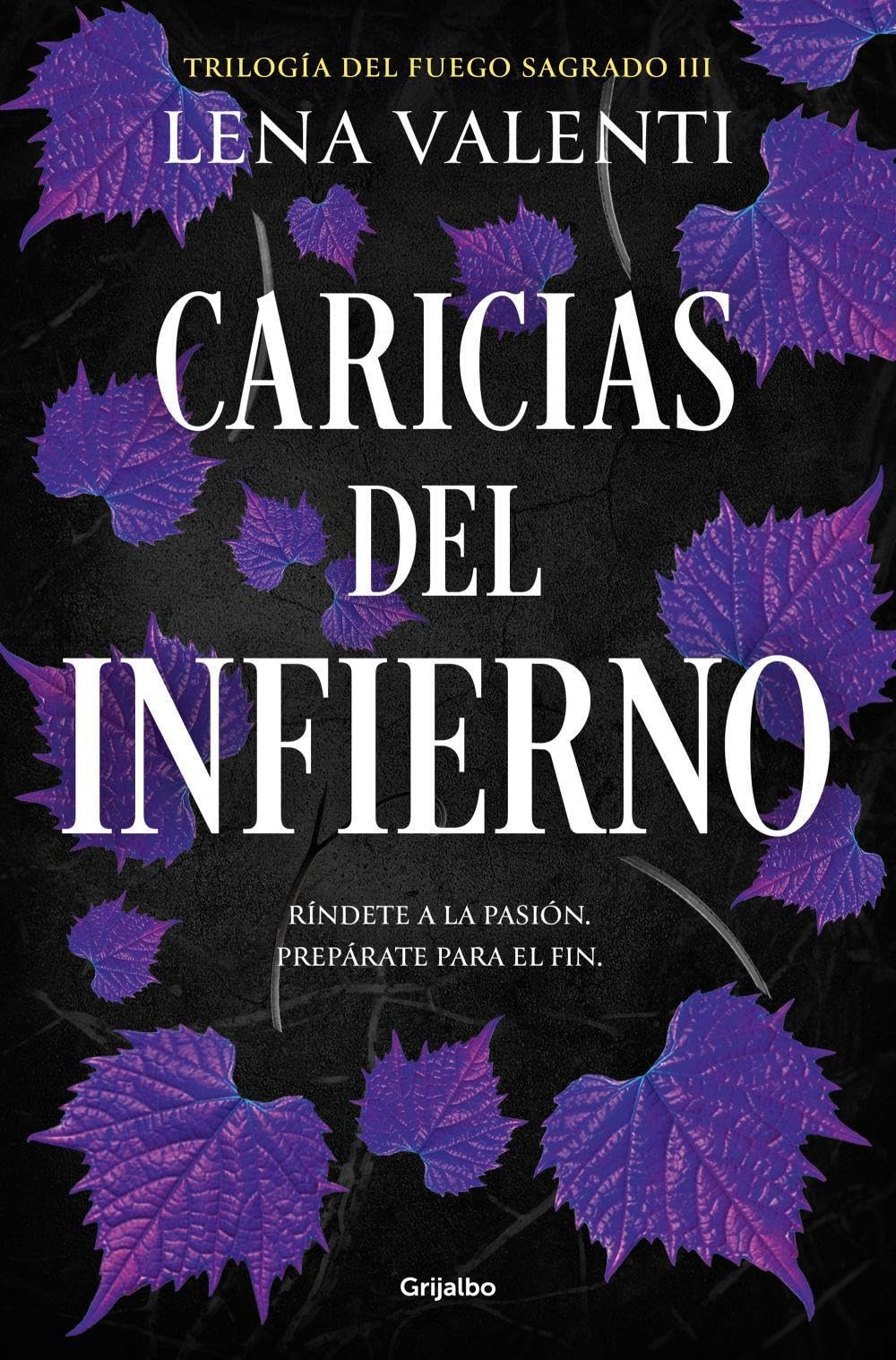 Caricias del infierno (Trilogía del Fuego Sagrado 3) Image