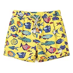 SURF CUZ Boys Swim Trunks Toddler Swim Shorts UPF