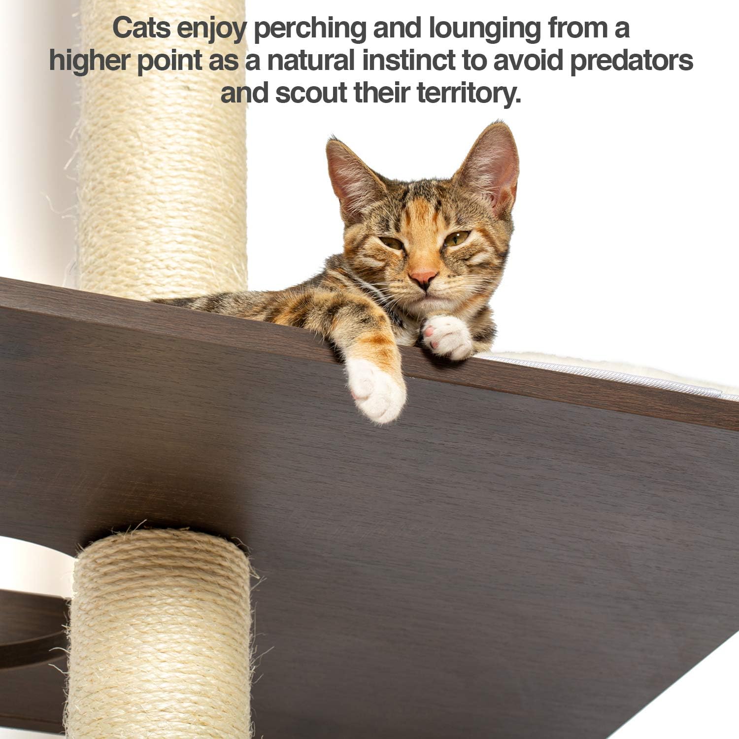 PetFusion Ultimate Cat Climbing Tower & Activity Tree. (24 x 20.8 x 76.8 inches (lwh) Tall Sisal Scratching Posts, Modern Wall Mounted cat Furniture, Espresso Finish). 1 Year Manufacturer Warranty : Pet Supplies