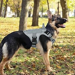 rabbitgoo Tactical Dog Harness for Large, Heavy