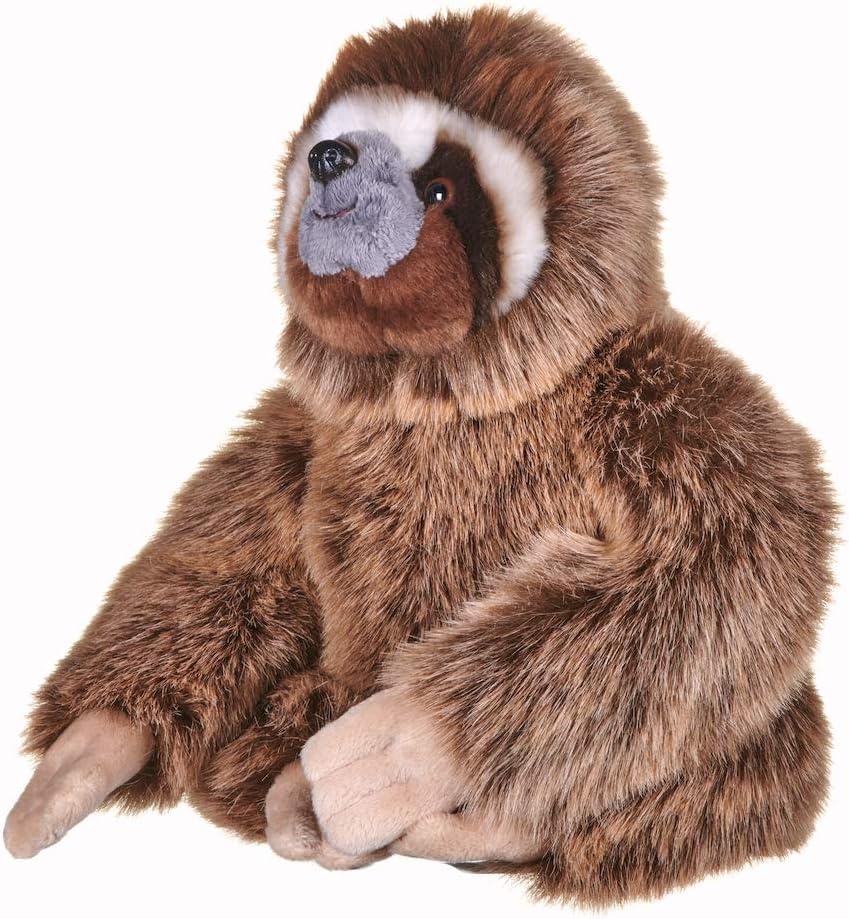 Posh Paws c Planet Earth Brown Amazon Co Uk Toys Games Posh Paws c Planet Earth Brown Amazon Co Uk Toys Games