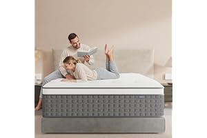 PUBPLON Mattress Queen Size, Medium Firm 14 Inch Mattress with Extra Lumbar & Shoulder Support, Hybrid Mattresses with Gel Memory Foam Pain Relief - Fiberglass Free - No Odor - 365 Night Trial