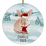Santa Hat and Scarf Welcome Winter Cinnamon Rabbit