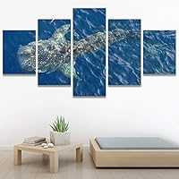 SIGNWIN 5 Panel Canvas Wall Art Modern Art Dolphin Expressive Marine Life Multicolor Nautical Photography Whale for Home Decorations Ready to Hang - 60