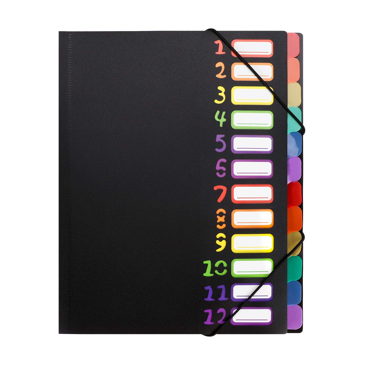 File Dividers 24 Pockets A4 Project Sorter Plastic Document Folder Organiser Paper Filing Folders Organizer with Colouful Index Tab Dividers