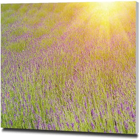 Amazon バイオレットラベンダー畑に沈む夕日 アートパネル おしゃれポスター モダン インテリア絵画 壁掛け キャンバス絵画 絵 パネル ポスター おしゃれ アートボード 30x30cm ウォールステッカー オンライン通販