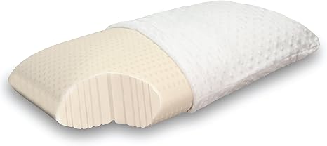 Classic Brands 100 Percent Natural Talalay Latex Foam Pillow