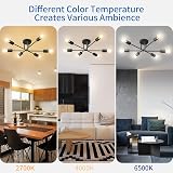 ANWIO Modern 6 Head Sputnik Light E27 Black Ceiling Fixture view 2