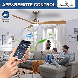 BvenuBigLite Outdoor Ceiling Fan with Light: 52
