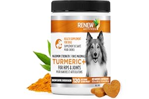 RENEW ACTIVES Organic Turmeric Soft Chews for Dogs – Daily Wellness Treat – 2 Chews per Serving – 120 Soft Chews