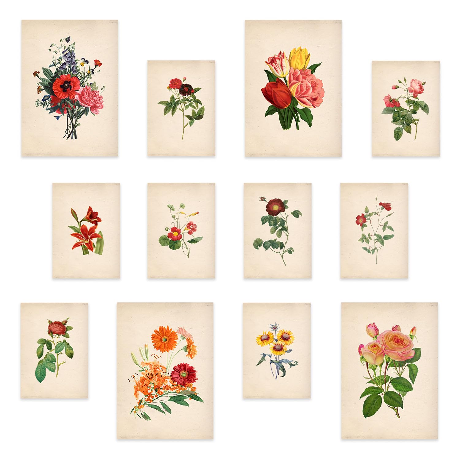 Nacnic Vibrant Red Flowers Print Set - 12 Pieces (4 A3 & 8 A4) - Mix Design, Frameless - Stunning Décor Wall Art Prints Poster Wall decor