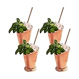 Sol Living Mint Julep Cups Gift Set of 4, 12