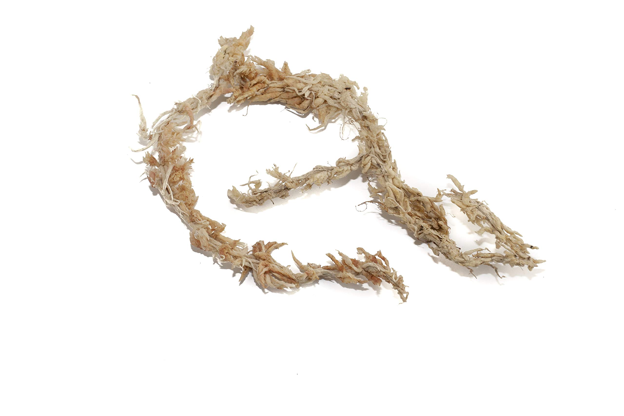 Sphagnum Moos Moosziegel aus Chile 200 g - Langfaseriges Premium Torfmoos als Substrat, für Orchideen, Zimmerpflanzen, Terrarien, Monstera & Moosstäbe 6