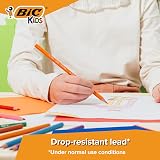 BIC Evolution Colouring Pencils for Kids Pack of 12 Colour Pencils view 3