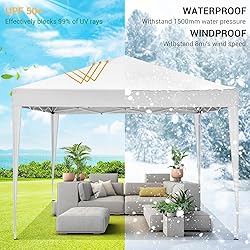 COBIZI 10x10 Pop Up Canopy Tent with Removable
