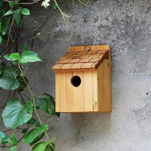 Sungmor Gifts Decor Natural Nest Wooden Wall Hanging Bird House