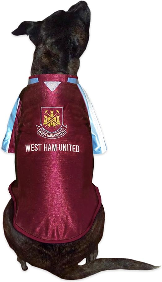 west ham cat collar