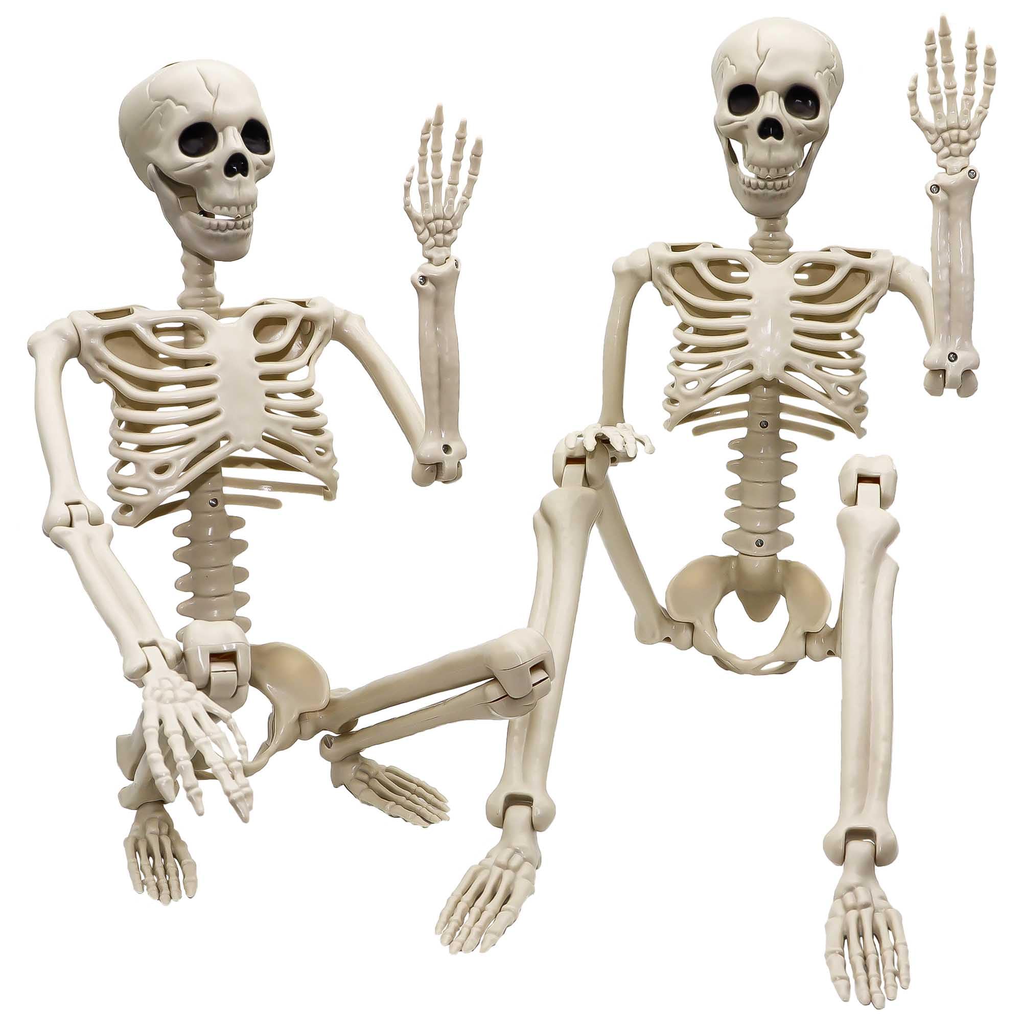 Photo 1 of 2 Pack 36"Halloween Skeleton - 3 ft Life Size Human Skeleton with Full Body Posable Joints Plastic Skeleton for Halloween Skeletons Decor Yard Patio Lawn Garden Skeleton Props Spooky Party Decoration