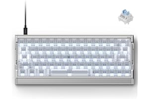 IQUNIX EV63 Hall Effect Gaming Keyboard 60% Rapid Trigger, Adjustable Actuation, VIA, SOCD Support (Silver Blade)