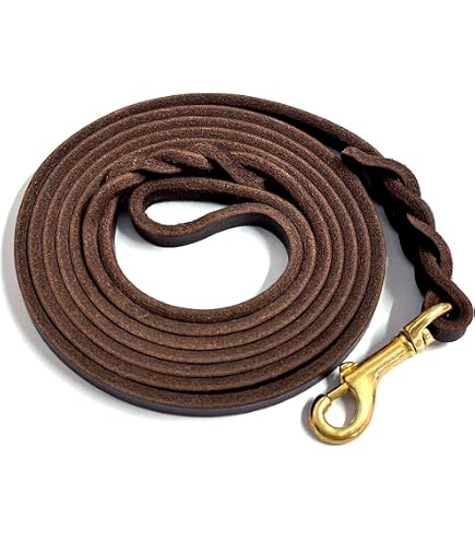 Amazon.com : Genuine Leather Classic Dog Leash, 4' Long, 3/8