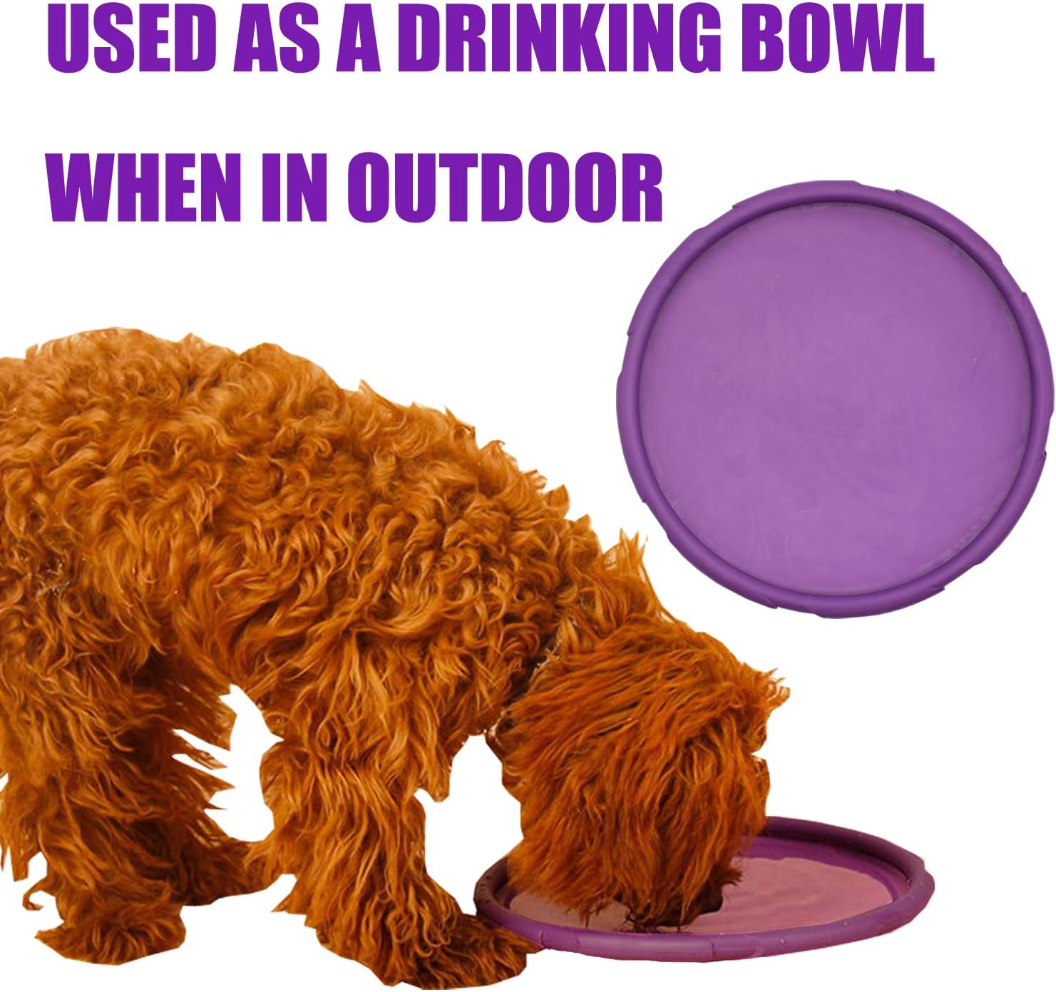 small rubber frisbee