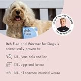 Itch Large Dog Flea Tick Treatment & Wormer Bundle 20kg+ 3 Pips + 2 Tablets view 2