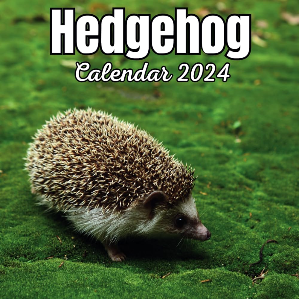 Hedgehog Calendar 2024: 16 Months Organizer For Home & Office Organizer , Mens , Womens , kids