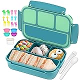 QQKO Bento Box for Kids Adults, School Toddler
