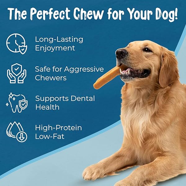 MAKALU DOG CHEW LARGE CHEWING STICKS FOR DOGS-HEALTHY YAK & COW MILK DOG TREATS FOR STRONG BONES & TEETH EASY TO DIGEST DOG CHEWS FOR AGGRESSIVE CHEWERS ODOR & MESS FREE BULLY STICKS(1 STICK PER PACK)