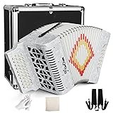 Accordion, 31 Keys 12 Bass Professional Adult