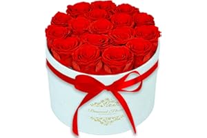 CDCO 17 Forever Flowers in a Luxury Suede Box, Preserved Roses Birthday Gifts for Women, Romantic Anniversary Christmas Gifts for Women Her Girlfriend Wife, Red